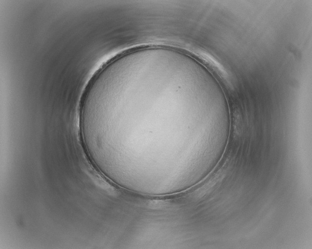 X0000115021280200911161438