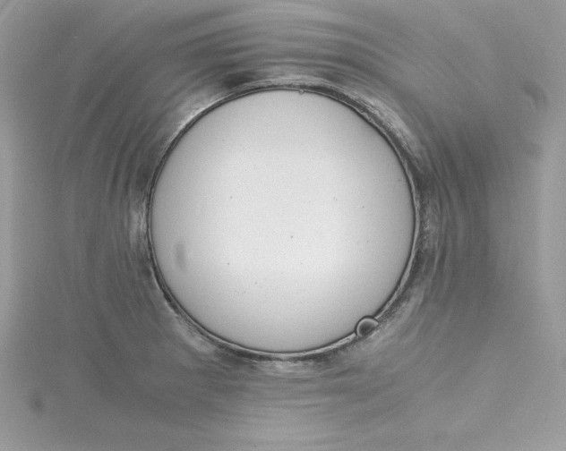 X0000115021281200911161438