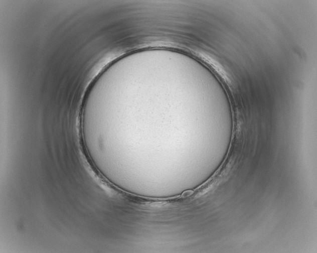 X0000115021282200911161438