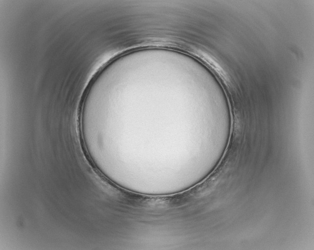 X0000115021283200911161438