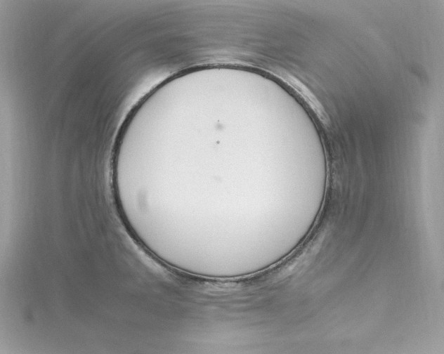 X0000115021285200911161438