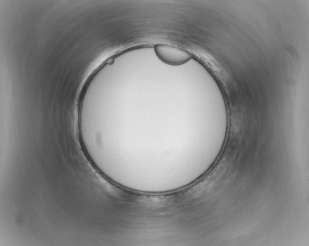 X0000115021286200911161438