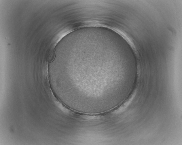 X0000115021289200911161437