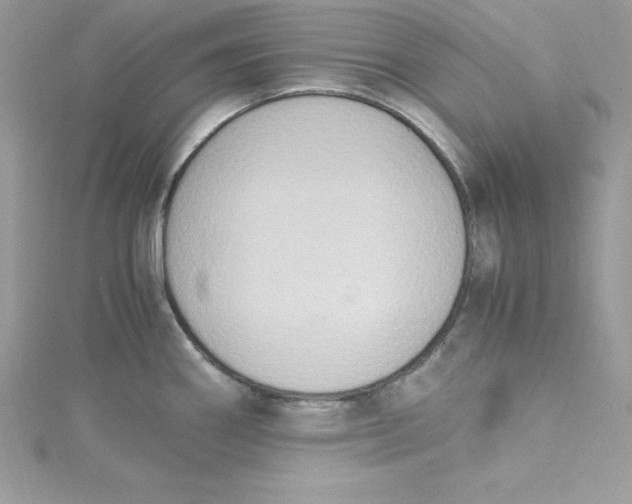 X0000115021290200911161437