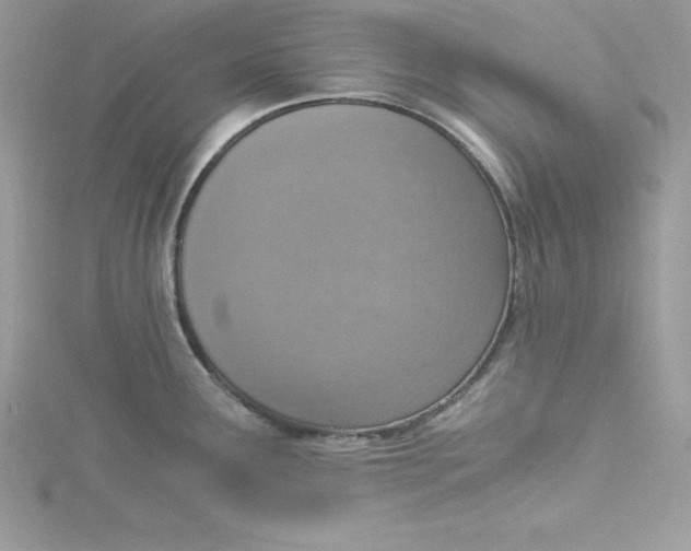 X0000115021291200911161437