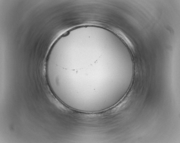 X0000115021292200911161437