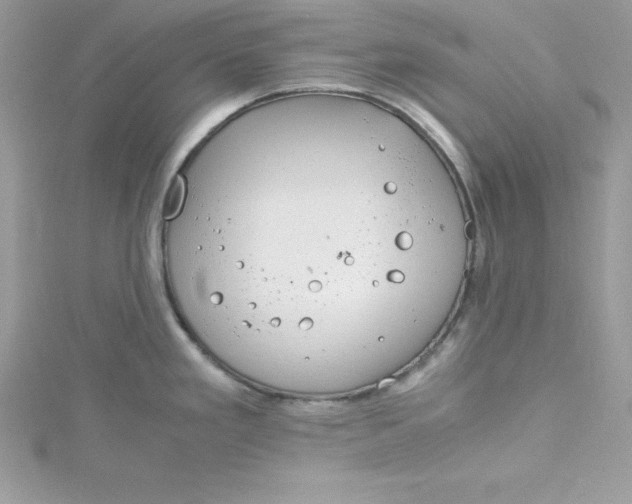 X0000115021293200911161437