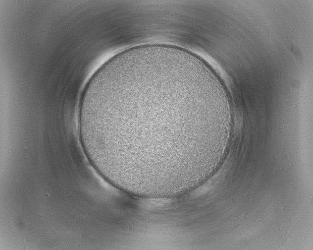 X0000115021294200911161437