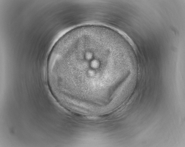 X0000115021295200911161437