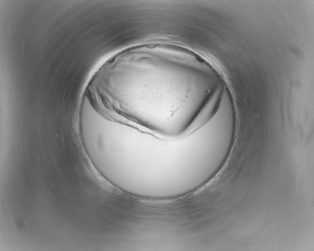 X0000115021296200911161437