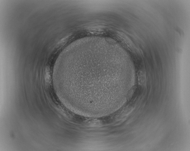 X0000115021298200911161437