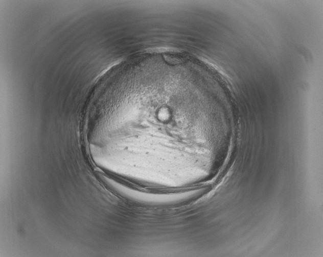 X0000115021305200911161437