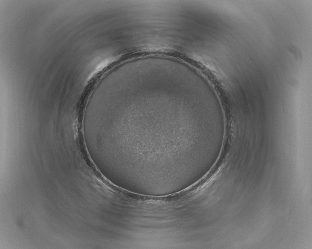 X0000115021306200911161437