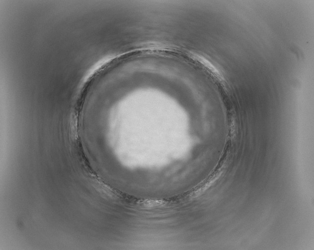 X0000115021310200911161437