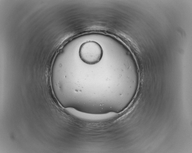 X0000115021313200911161437