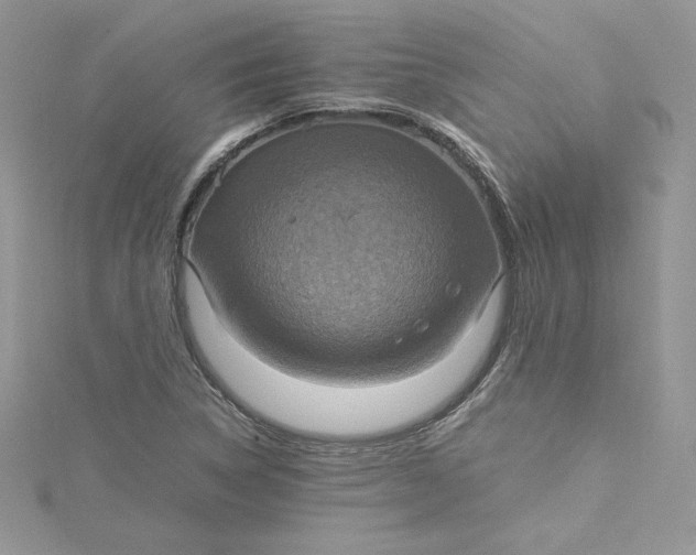 X0000115021314200911161437