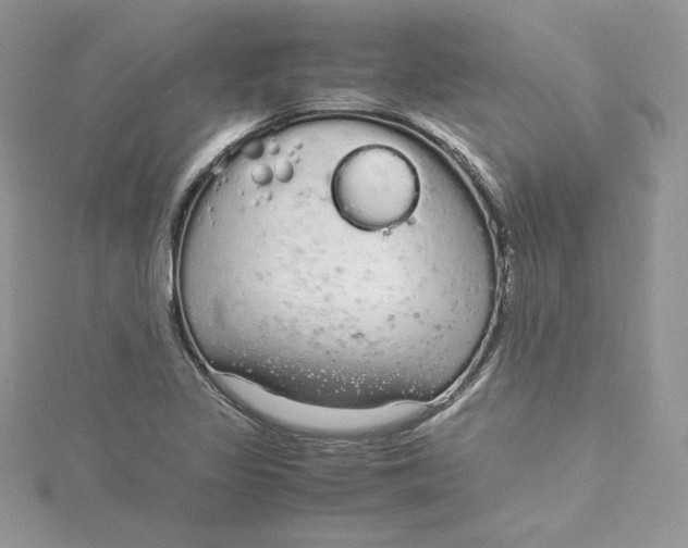 X0000115021317200911161437