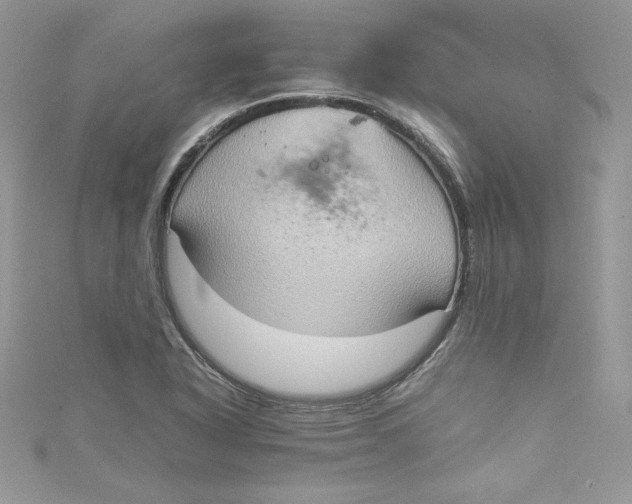 X0000115021318200911161437