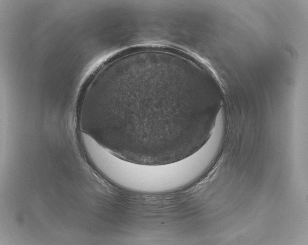 X0000115021319200911161437