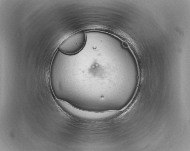 X0000115021321200911161437