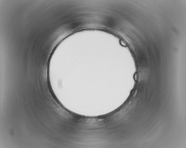 X0000115021322200911161437