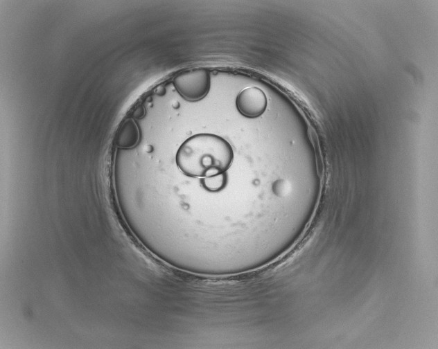 X0000115021325200911161437