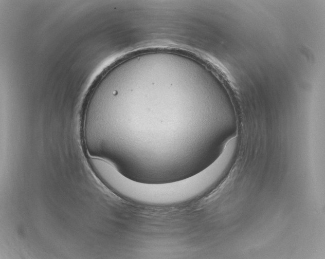 X0000115021326200911161437