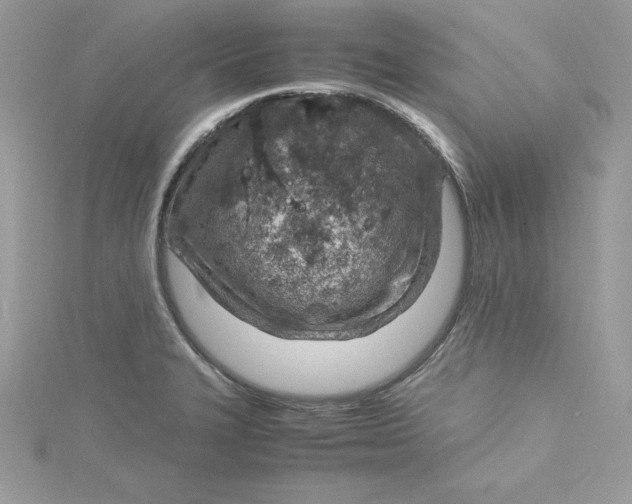 X0000115021327200911161437