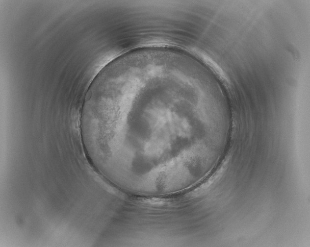 X0000115021329200911161437