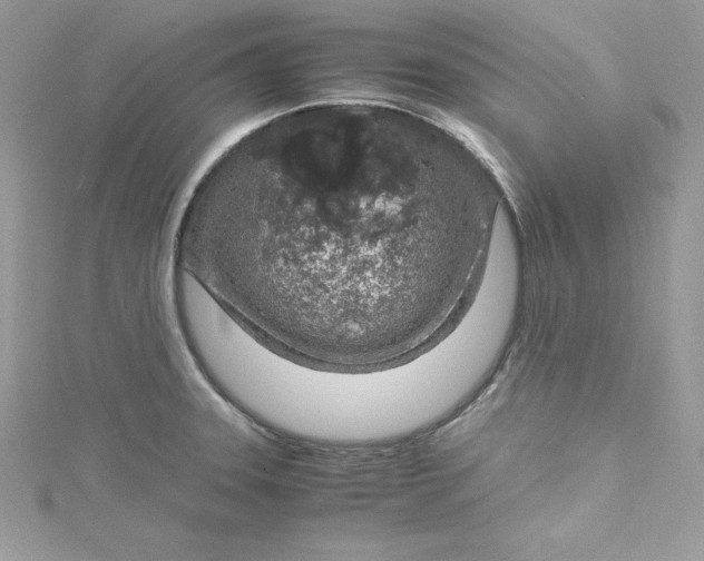 X0000115021331200911161437