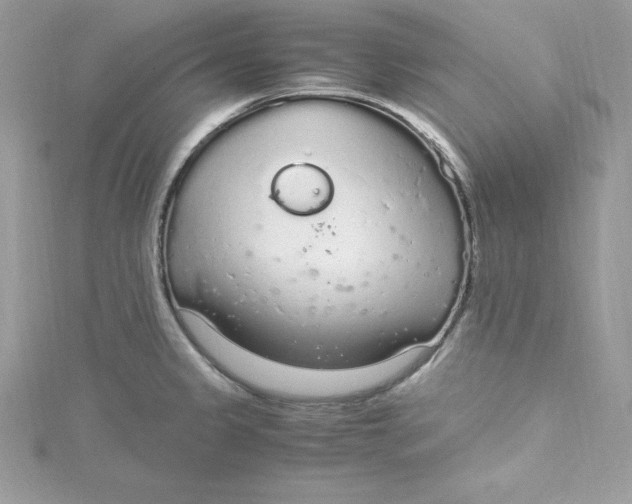 X0000115021333200911161437