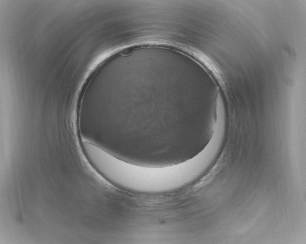 X0000115021334200911161437