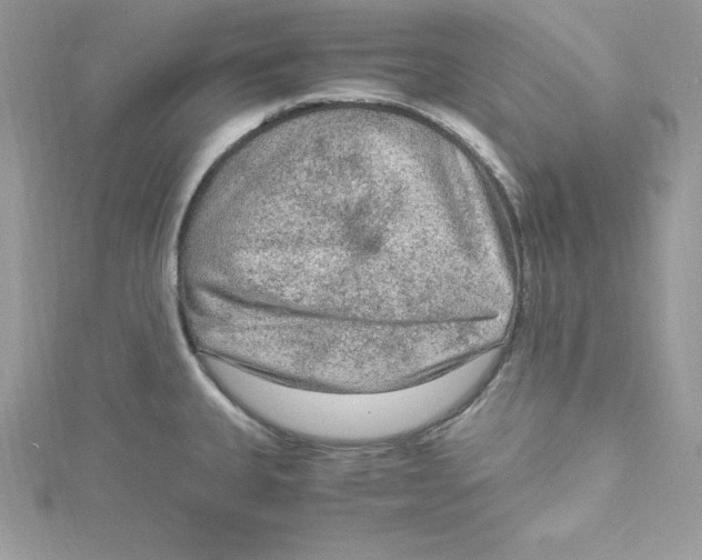 X0000115021335200911161437