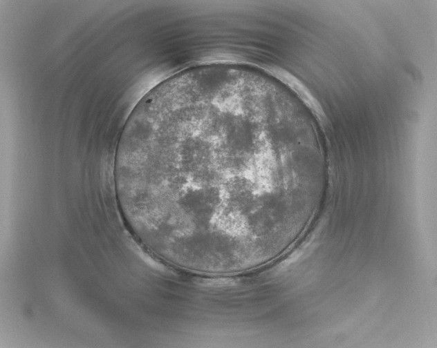 X0000115021337200911161437