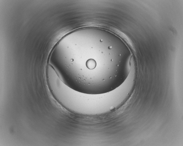 X0000115021338200911161437