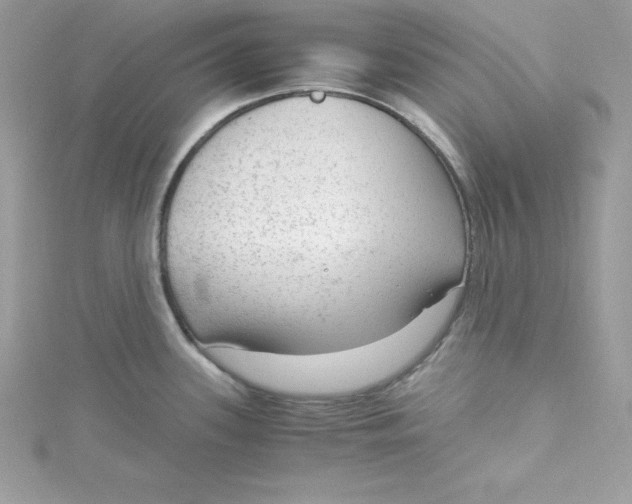 X0000115021339200911161437