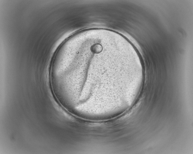 X0000115021341200911161437