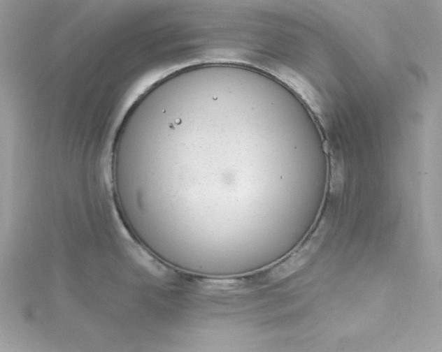 X0000115021342200911161437