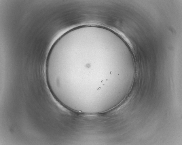 X0000115021343200911161437