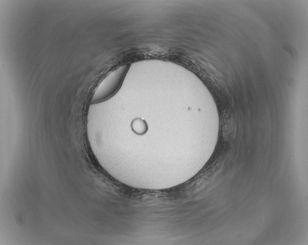 X0000115021345200911161437