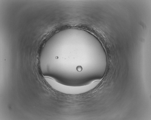 X0000115021349200911161437