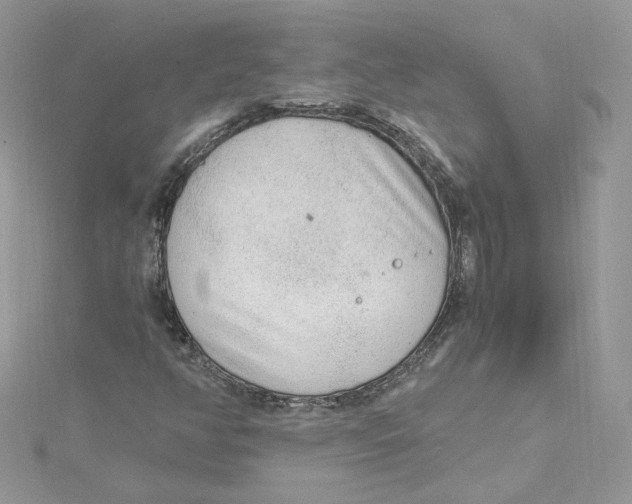 X0000115021350200911161437