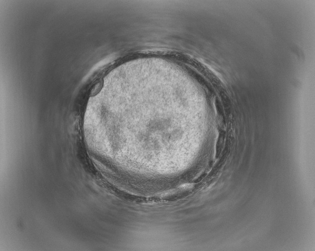 X0000115021351200911161437