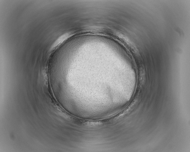 X0000115021354200911161436