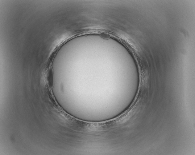 X0000115021357200911161436