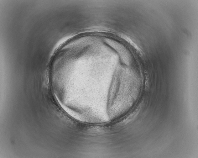 X0000115021358200911161436