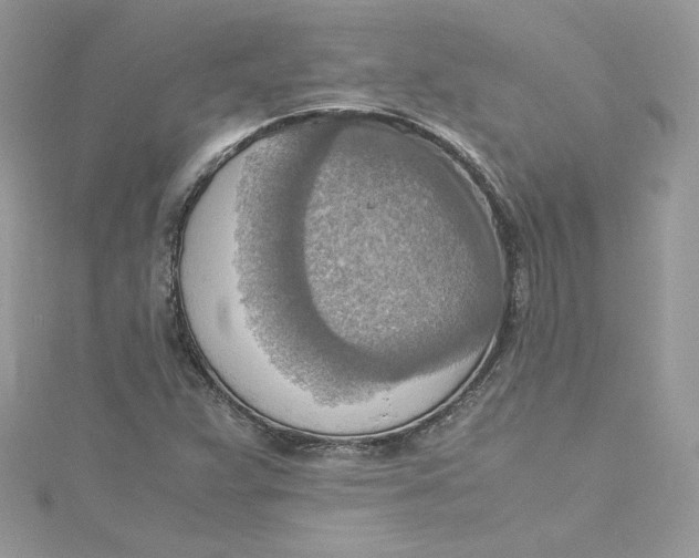 X0000115021359200911161436