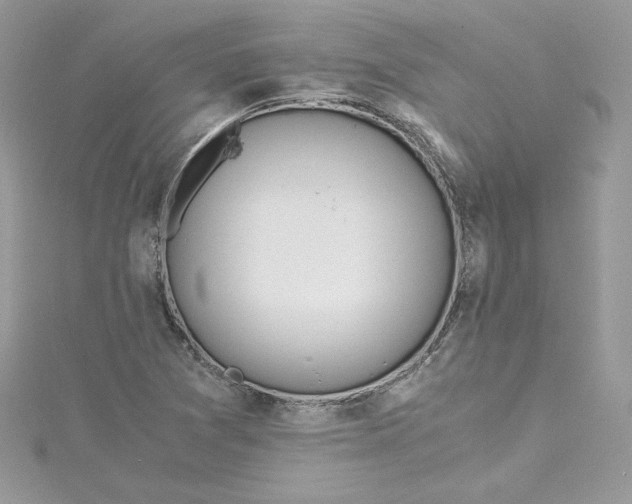 X0000115021361200911161436