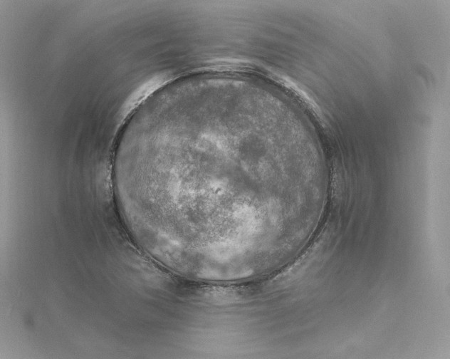 X0000115021362200911161436