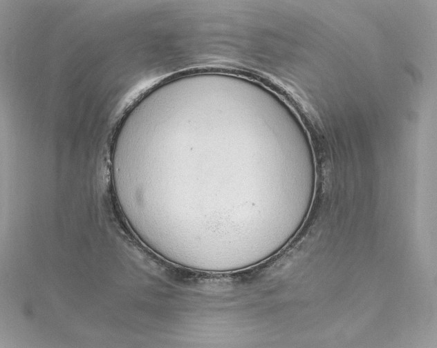 X0000115021363200911161436